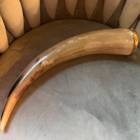 Handcrafted Natural Viking Beer Horn 16"Medieval Drinking Vessel Brass O… - Picture 6 of 15